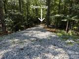 V/L Forest Country Drive - Photo 1