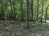 V/L Forest Country Drive - Photo 11