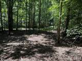 V/L Forest Country Drive - Photo 12