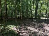 V/L Forest Country Drive - Photo 13