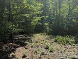 V/L Forest Country Drive - Photo 15