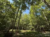 V/L Forest Country Drive - Photo 17