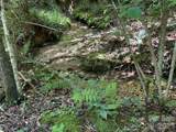 V/L Forest Country Drive - Photo 19