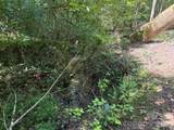V/L Forest Country Drive - Photo 21
