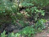 V/L Forest Country Drive - Photo 22