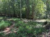 V/L Forest Country Drive - Photo 23