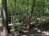 V/L Forest Country Drive - Photo 24