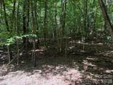 V/L Forest Country Drive - Photo 25