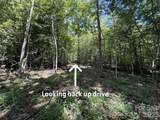 V/L Forest Country Drive - Photo 27