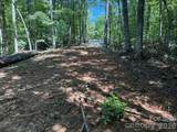 V/L Forest Country Drive - Photo 30