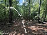 V/L Forest Country Drive - Photo 5