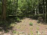 V/L Forest Country Drive - Photo 9