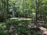 V/L Forest Country Drive - Photo 10