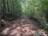 6356 Sunny Ridge Lane - Photo 9