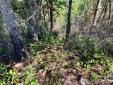 1.46 acres, Lot 48 Tomahawk Ridge Drive - Photo 12