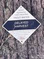 1.46 acres, Lot 48 Tomahawk Ridge Drive - Photo 24
