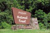 1.46 acres, Lot 48 Tomahawk Ridge Drive - Photo 26