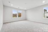 10025 Cannon Vista Lane - Photo 20