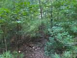 TBD Rich Pine Drive - Photo 6