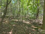 TBD Pinkwood Drive - Photo 11