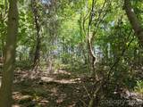 TBD Pinkwood Drive - Photo 13