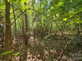 TBD Pinkwood Drive - Photo 10
