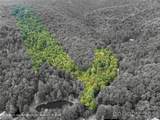 TBD Pond Road - Photo 10