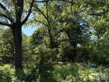 0 Liles Lane - Photo 18