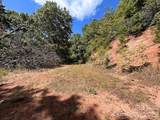 9999 Us Hwy 441 Highway - Photo 18