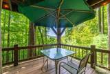 204 Mountain Laurel Drive - Photo 25