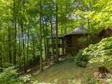 204 Mountain Laurel Drive - Photo 47
