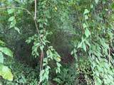 Off Meadowbrook Circle - Photo 7