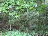 Off Meadowbrook Circle - Photo 8