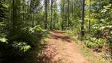 15+/- AC Lot 2 Parson Road - Photo 6