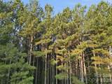 105 Stoney Brook Trail - Photo 3