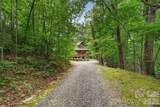 386 Wild Turkey Run - Photo 45