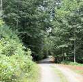 TBD Nc Hwy 268 Highway - Photo 7