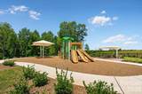 603 Carter Lee Lane - Photo 4