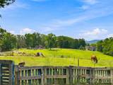 41 Forest Knoll Drive - Photo 31