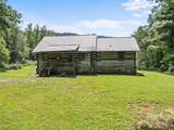 831 Qualla Road - Photo 5