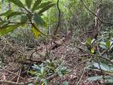 000 Wilson Road - Photo 12