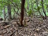 000 Wilson Road - Photo 13