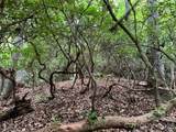 000 Wilson Road - Photo 14