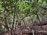000 Wilson Road - Photo 15