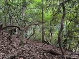 000 Wilson Road - Photo 17