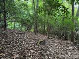 000 Wilson Road - Photo 19