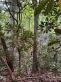 000 Wilson Road - Photo 23