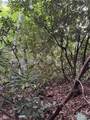 000 Wilson Road - Photo 24