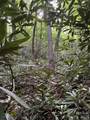 000 Wilson Road - Photo 25