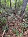 000 Wilson Road - Photo 31